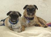 Tululla & Moon Doggie