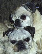 Trooper & Lilly